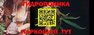 СК Чебаркуль