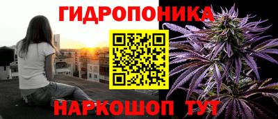 мяу мяу мука Усть-Джегута