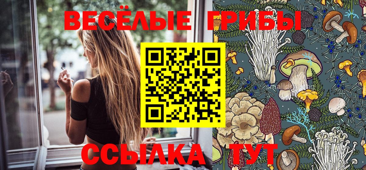 Костомукша  Галлюциногенные грибы мицелий  Вход с VPN 