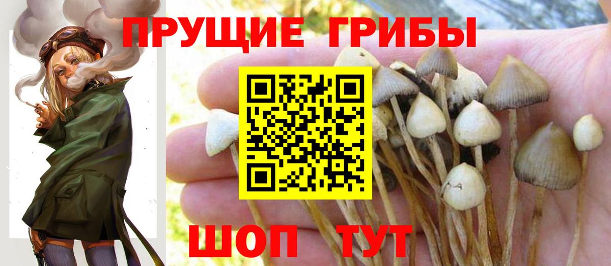 Галлюциногенные грибы Magic Shrooms Костомукша